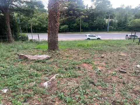 Circuito Gral San Martin