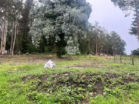 Terreno en Venta de 665,0 m2