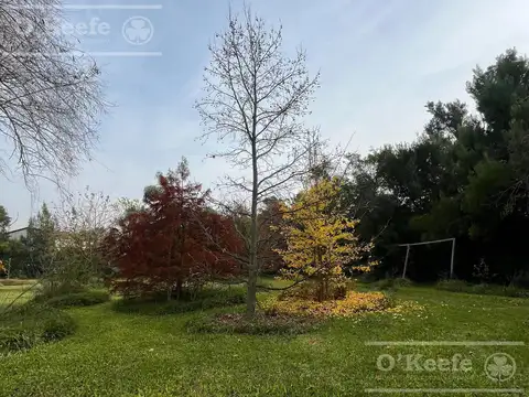 Terreno de 11900 M2, en Abasto