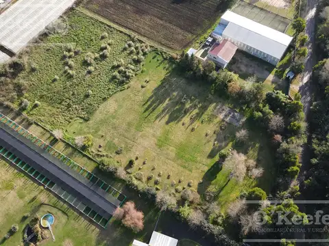 Terreno en Venta en Abasto, USD 160.000