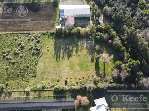 Terreno de 11900 M2, en Abasto