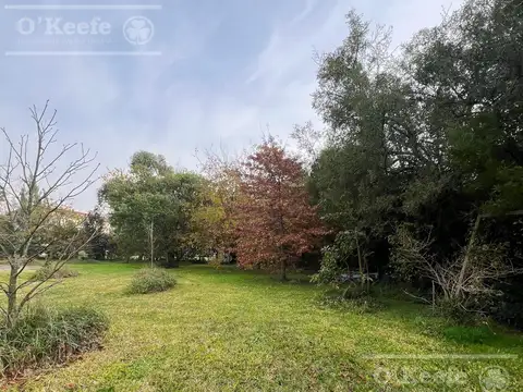 Terreno en abasto de 11900 m2 con fácil acceso,  oportunidad unica!