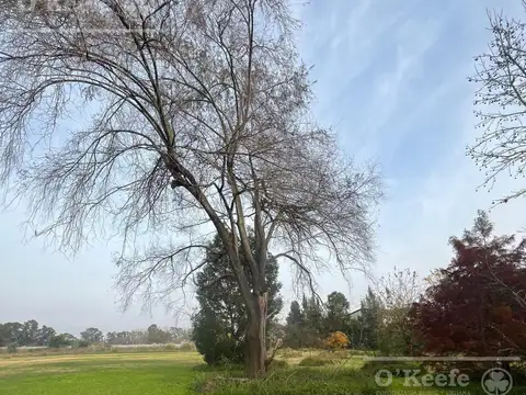 Terreno en Venta de 11900,0 m2