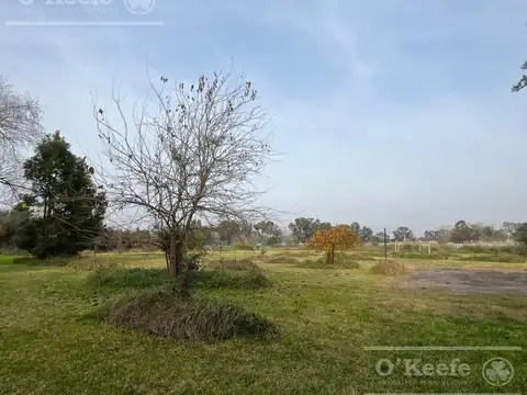 Terreno en Venta en Abasto, USD 160.000