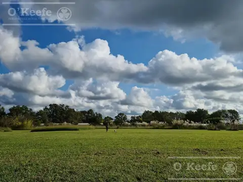 Terreno en Venta de 11900,0 m2