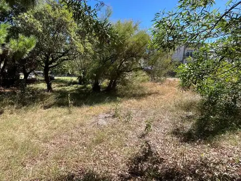 Paseo 149 entre Av. 2 y 100