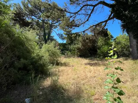 Paseo 149 entre Av. 2 y 100