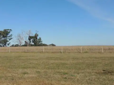 Terreno en Venta de 700,0 m2