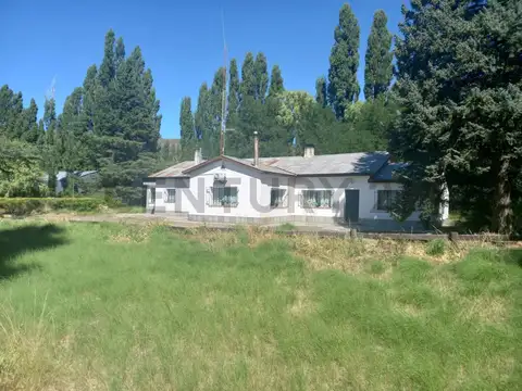 VENTA CAMPO LONCOPUE ,  NEUQUEN .