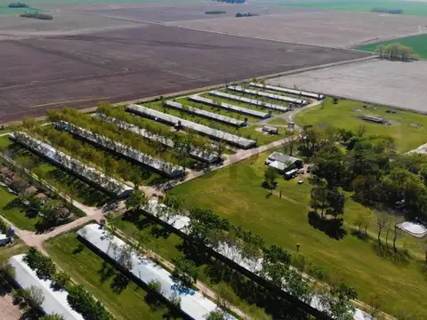 VENTA - CAMPO - EXALTACION DE LA CRUZ