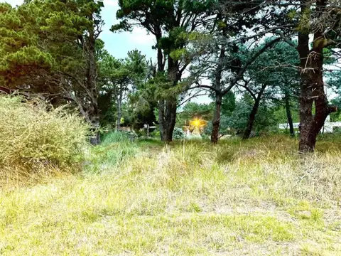 Los Arrayanes e/ Las Dalias y Los Crisantemos