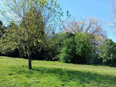 Terreno en Venta de 6975,0 m2