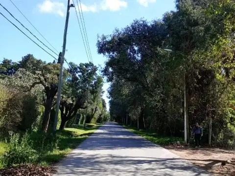 VENTA TERRENO EN GENERAL RODRIGUEZ PERMUTA