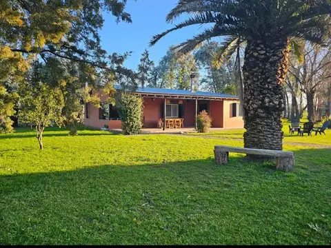 Chacra de 2,8 ha en Mercedes con casas, quincho, pileta y arboleda a 10 km de la ciudad sobre ruta