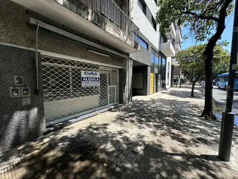 Local en Alquiler A Estrenar