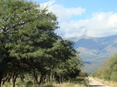 Terreno en Venta de 50000,0 m2