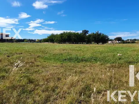 EL MIRADOR RUTA 2 KM 90