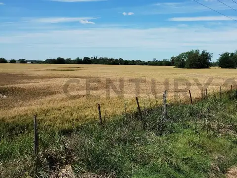 Campo en Venta de 1,30  ha