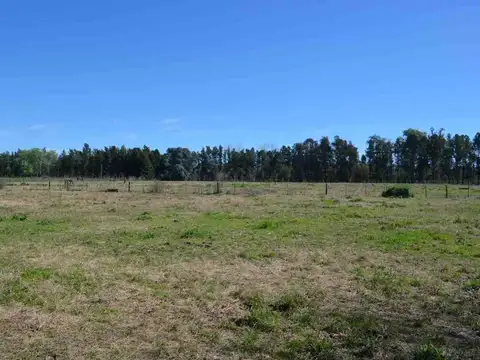 Lote 2,5Ha Venta Haras Argentino Farm Club, Lujan