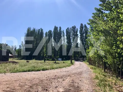 PRE VENTA! Loteo Finca Cardales, Cipolletti