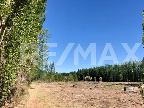 Terreno en Venta en Cipolletti, USD 51.000