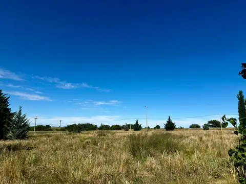 Terreno en Lemu Cuyen - Quinta 20 - Parcela 2