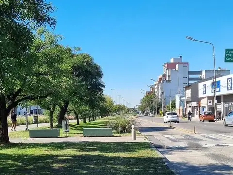 Galpon en Venta 38  mts Fondo