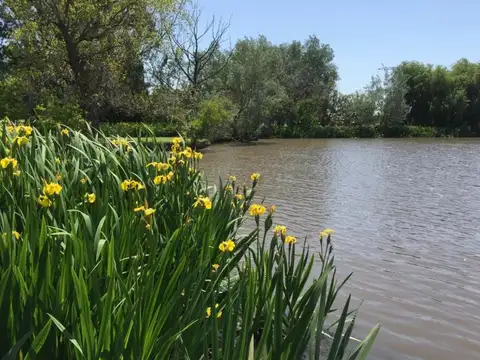 Terreno en Venta en Chacras De La Cruz, USD 64.000