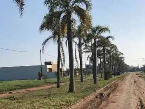 Querandíes 1040 - Lote 1623