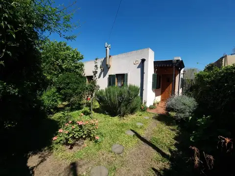 ISLA DECEPCIÓN al 1000