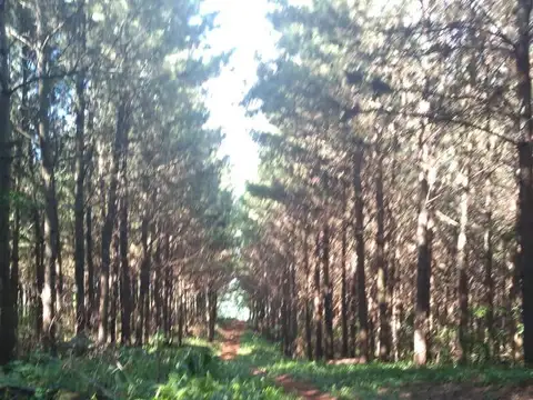 Campo en Venta de 30  ha