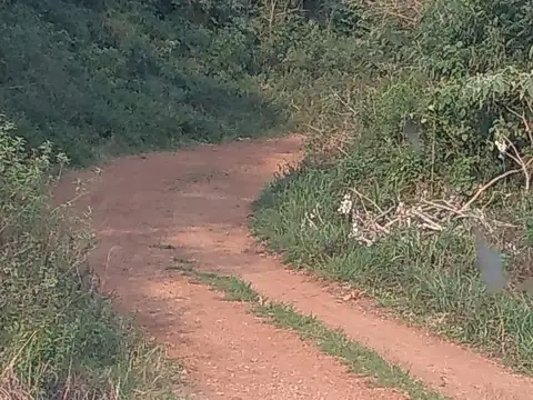 Campo en Venta de 30  ha