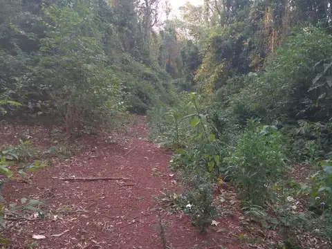 Campo en Venta de 30  ha