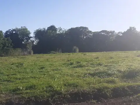 47 E/ 11 Y 12 LOTE  4