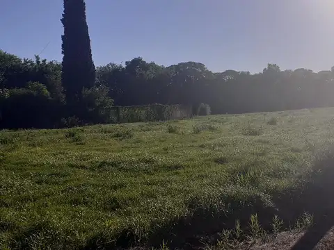 Terreno en Venta 42  mts Fondo