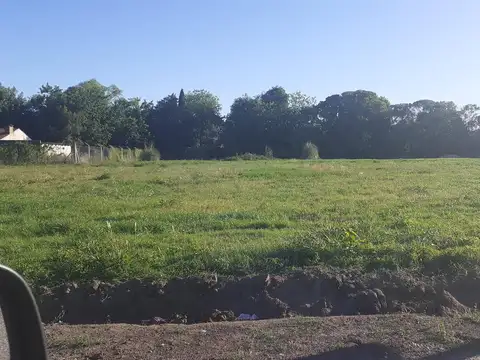 Terreno en Venta en 47 E/ 11 Y 12 LOTE  4 Villa Elisa - Alberto Dacal Propiedades