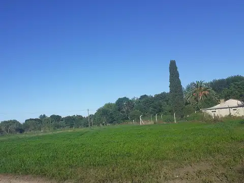 Terreno en Venta 21  mts Frente