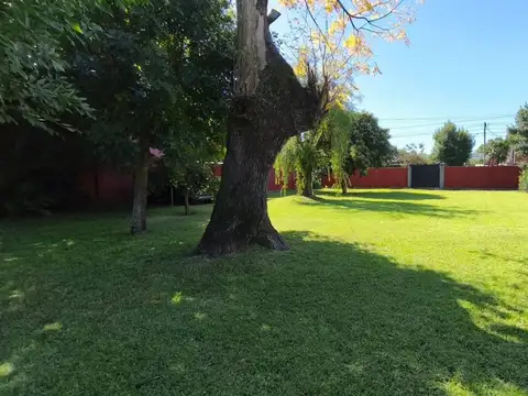 Roque Sáenz Peña 700