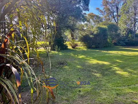 Terreno en Venta 20  mts Frente