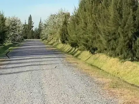 VENTA TERENO DE 1000MTS2 EN ECOBARRIO EL RETIRO (LA PLATA, BUENOS AIRES)