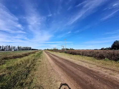 ruta 9 Km  km 217 200