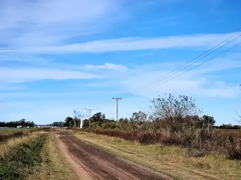 Terreno Campo  en Venta en Ramallo, Resto de la Provincia, Buenos Aires