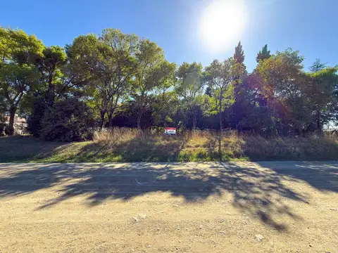 LOTE DE 29 X 54 Mtros2 en MARIA IGNACIA VELA