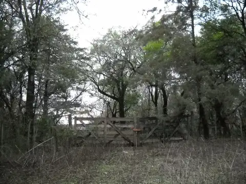 HECTAREAS EN VENTA APTAS DESARROLLO RIO CEBALLOS