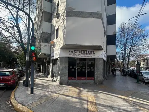 Avenida San Martín  al 1900