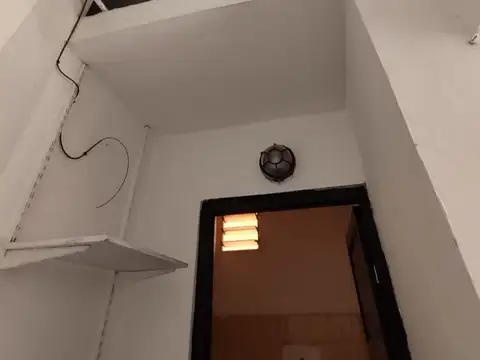 margarita weild 1200