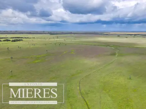 Campo en Rocha ganadero agrícola 125ha