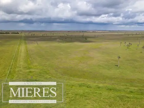 Campo en Rocha ganadero agrícola 125ha