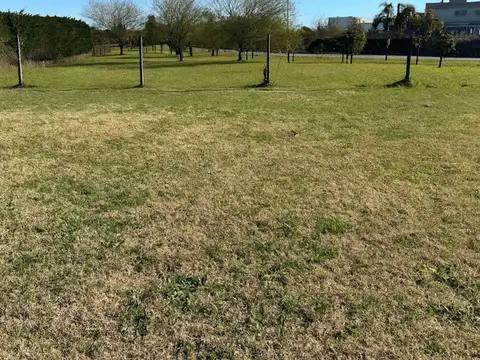 Terreno en Venta de 977,0 m2