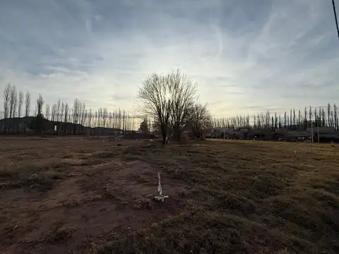 Terreno en Venta en Centenario, USD 35.000